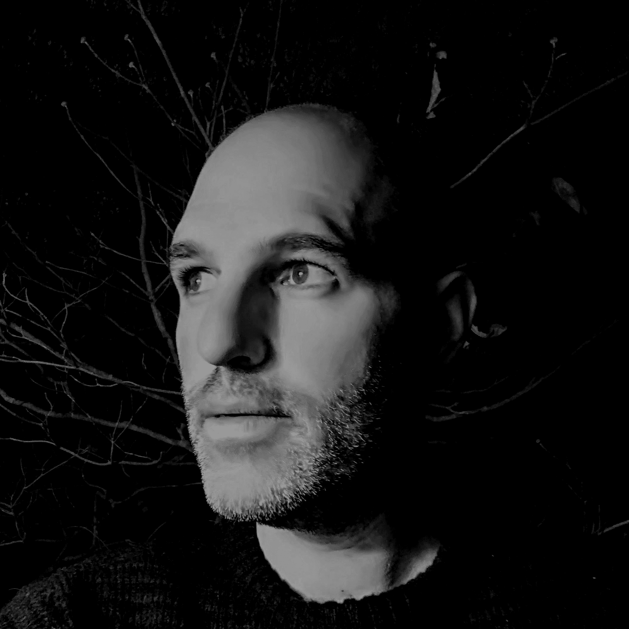 ARTIST AVATAR